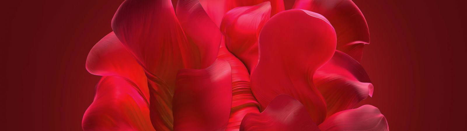 RED COLLECTION - FINESTFIT